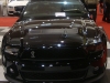 81st International Motor Show 81st International Motor Show